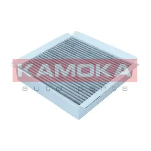 F520301 KAMOKA