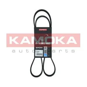 7016097 KAMOKA
