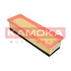 F228101 KAMOKA