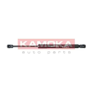 7091031 KAMOKA