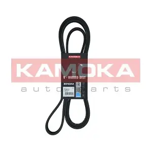 7016213 KAMOKA