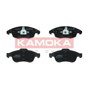 JQ1013942 KAMOKA