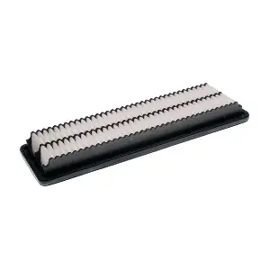 A146913 DENCKERMANN