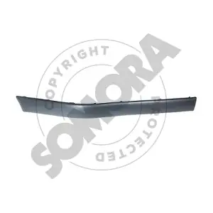 223335 SOMORA