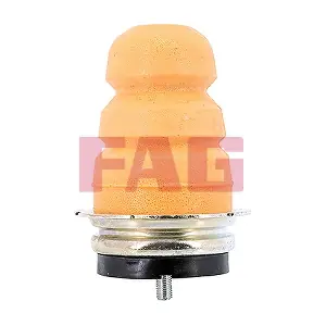 810 0067 10 Schaeffler FAG
