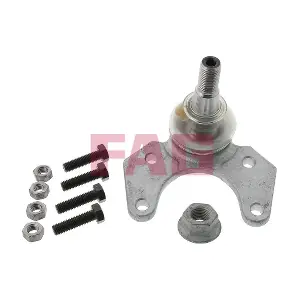 825015610 Schaeffler FAG