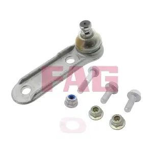 825 0155 10 Schaeffler FAG