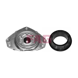 815 0069 30 Schaeffler FAG