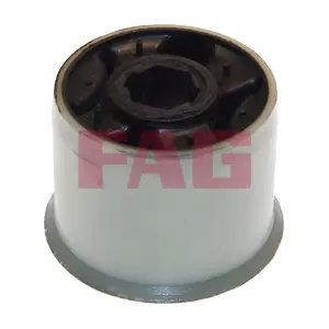 829 0318 10 Schaeffler FAG