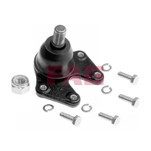 825 0098 10 Schaeffler FAG