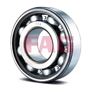 6005 Schaeffler FAG