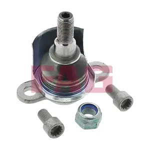 825009910 Schaeffler FAG
