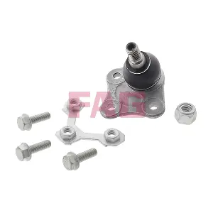 825017310 Schaeffler FAG