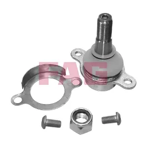 825 0273 10 Schaeffler FAG