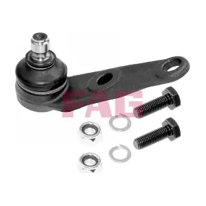 825 0082 10 Schaeffler FAG