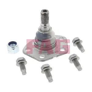 825 0319 10 Schaeffler FAG