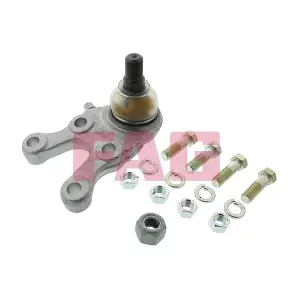 825 0031 10 Schaeffler FAG