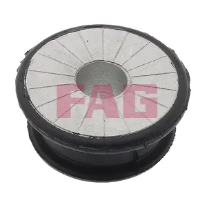 829 0551 10 Schaeffler FAG