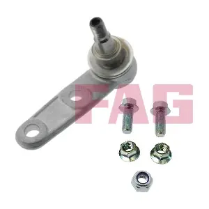 825 0307 10 Schaeffler FAG