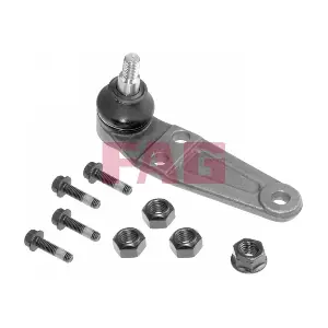 825 0215 10 Schaeffler FAG