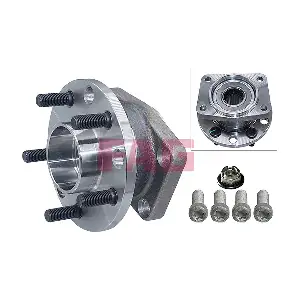 713 6971 10 Schaeffler FAG