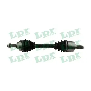 DS60194 LPR