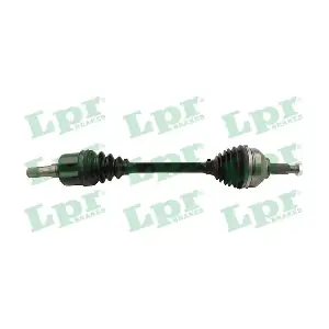 DS52433 LPR