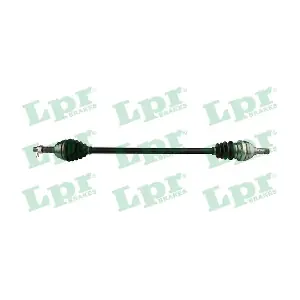 DS52461 LPR