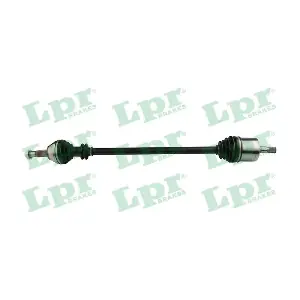 DS60286 LPR
