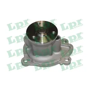 WP0913 LPR