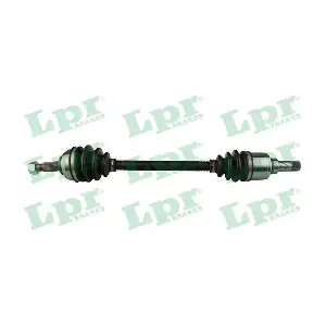 DS52251 LPR