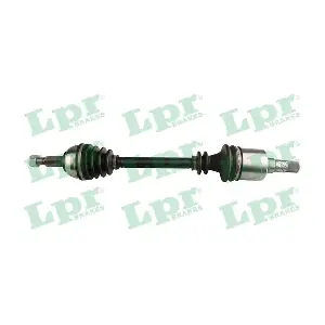 DS52395 LPR