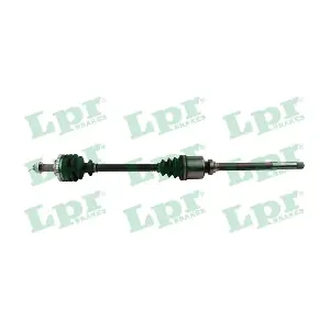 DS16093 LPR