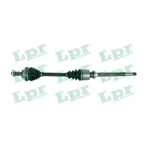 DS38181 LPR