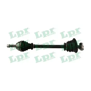 DS39061 LPR