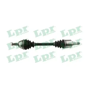 DS16055 LPR