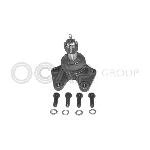 0401996 OCAP