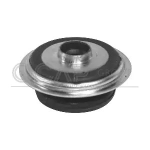 8400181 OCAP
