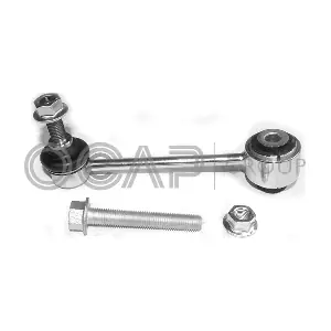 0505776 OCAP