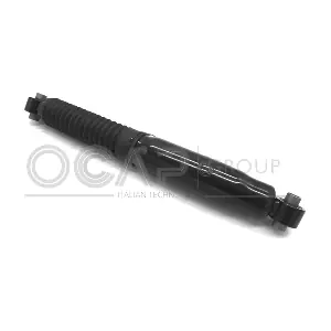 82010RU OCAP