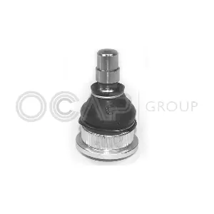 0406493 OCAP