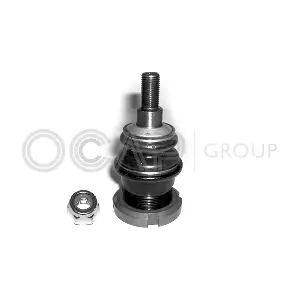 0401951 OCAP