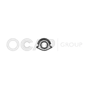 1215336 OCAP