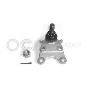 0401424 OCAP