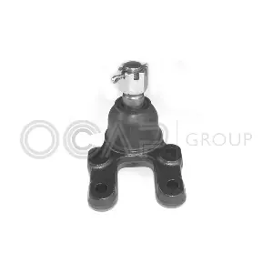 0403548 OCAP