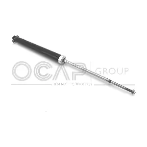 82123RU OCAP