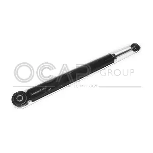 82544RU OCAP