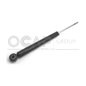 82382RU OCAP