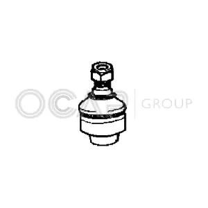 0400805 OCAP