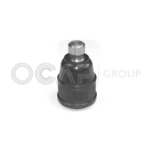 0406491 OCAP